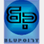 blupoint.net