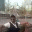 davidqadri.wordpress.com