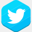 autotweeter.in
