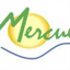 mercuer.fr