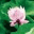 bhagavadgitasdotcom.wordpress.com