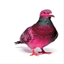 talkingpigeons.com