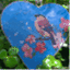 findingheartblog.wordpress.com