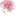 newtonmaflorist.com
