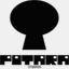 pitarastudios.com