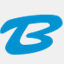bluecrm.be