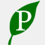 pasindo.com
