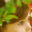 growingachild.com