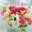 pbeventplanning.wordpress.com