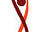 zimbawomen.org