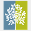 christinerice.ca