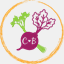 celerymeetsbeetroot.com