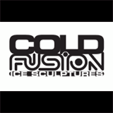 coldfusionicesculptures.com