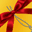 rgift4u.com