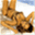 striptv.de