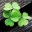 joshuakenblog.wordpress.com