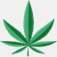 canadiangreenproducts.ca