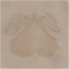 futureclue.com