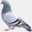 ntkbg.com