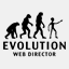 web-director.info