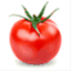vegex.pl