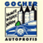 gocher-autoprofis.de