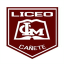 lgm-canete.cl