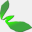bayamsoftware.com