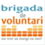 brigadadevoluntari.wordpress.com