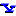 masalkov.com