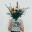 cleolidewij.wordpress.com