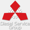 dieselservicegroup.com