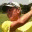 franrhoadsgolf.com