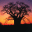 lebaobab.info