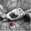 journeyofsubmission.wordpress.com