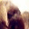 clocheobsession.wordpress.com