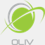 olivseo.com
