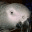 benniekotze.net
