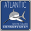 atlanticwhiteshark.wordpress.com