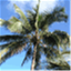 travellingturtles.com