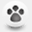 ccspca.com