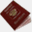 passport-rf.com