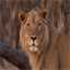 davidcubbin.co.za