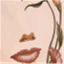 ancira.wordpress.com