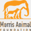 morrisanimalfoundation.com