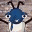 weevilgeneration.wordpress.com