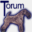 torum.co.uk