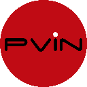 p-vin.com