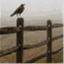yesteryearprimitives.wordpress.com