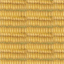 gofiosoft.com